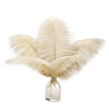 Beige Ostrich Feathers Bulk - 12Pcs 12-14inch Large Boho Feathers for Vas...