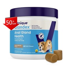 Vetnique Glandex Anal Gland Peanut Butter Flavor Soft Dog Chews - 16.9oz/60ct