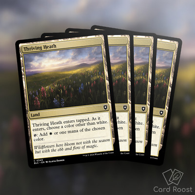 MTG Magic x4 Thriving Heath 0348 Commander Bloomburrow BLC Playset