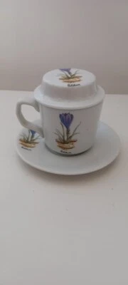 Superbe tisanière "Colchicum" en porcelaine Pillivuyt TBE - Photo 1/4