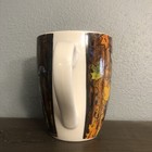 Picture 4 of 8