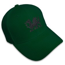 Baseball Cap Welsh Wales Flag Dragon Style B Embroidery Dad Hats for Men & Women
