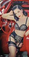 VON FOLLIES BY DITA VON TEESE ANIMAL PRINT SUSPENDER GARTER BELT 8 10 16 LEOPARD