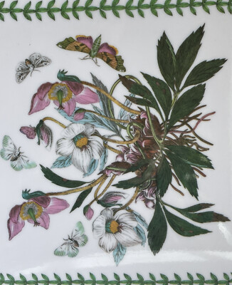Vintage Portmeirion Botanik Garden Plate By Susan Williams Ellis