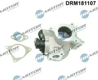 Dr.Motor Automotive Agr-Ventil FüR Opel Vivaro Kasten F7 2.5 Cdti Movano F9 X70