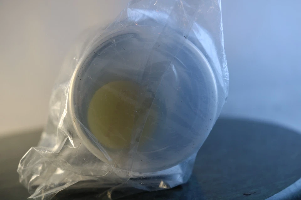 Seychelle 28oz pH20 Filtration Flip Top Pure Water Filter Squeeze Bottle - New - Image 4 of 4