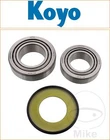 Yamaha XTZ 700 Tenere 700 2019-2023 Koyo Headstock Bearing Kit