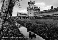 Cartolina Montagnana Castello degli Alberi (Padova)