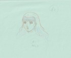 The Twelve Kingdoms Juuni Kokki Genga Douga Original Sketches Pierrot - Youko — photo 2