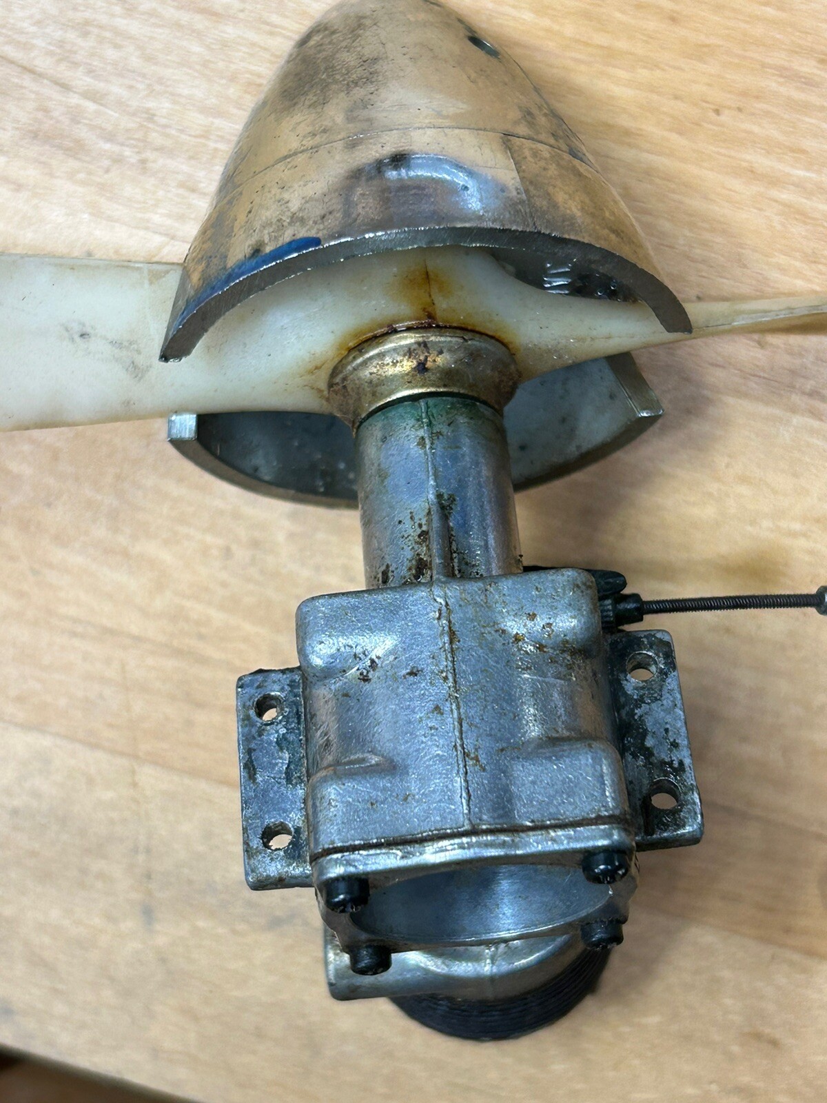 Picture 4 of 9