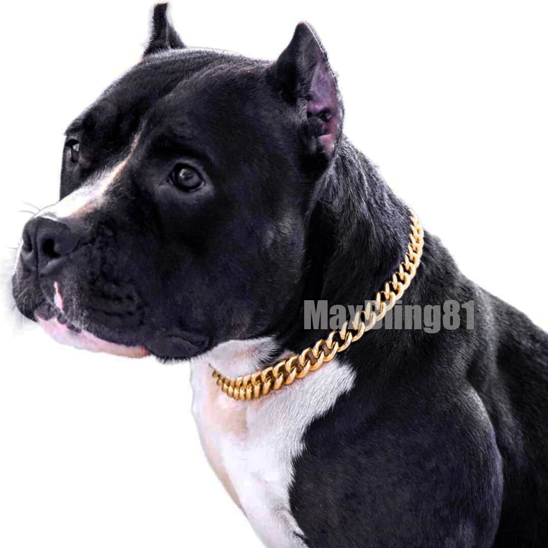 Pet Dog Cat Gold Plated Stainless Steel 9mm 18" 20" 24" Cuban Chain Necklace
