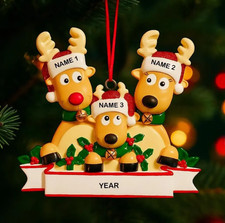Personalized Reindeer Family Christmas Ornament Acrylic 3.5 in x 3. 5 in