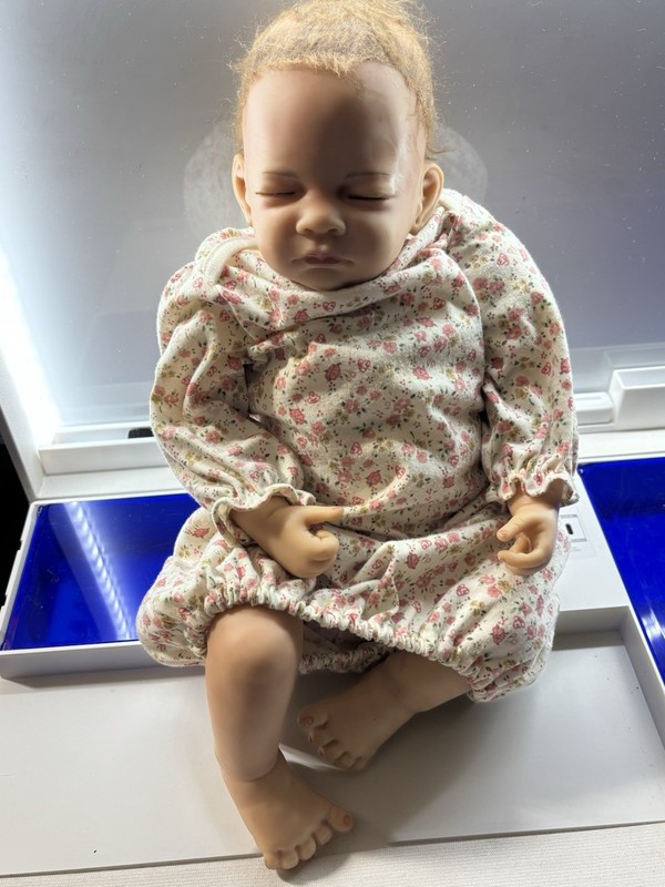 Ashton Drake Reborn Baby Doll Lifelike W/Floral Dress Realistic Rare