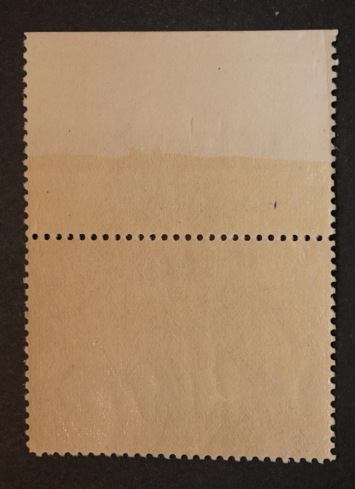 RW5 Federal Duck Hunting Stamp w/ block #, MNH, OG, 1938 stamps collectibles - Image 2 of 2