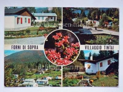 OVENS ABOVE Carnia Udine Village Tintai views old postcard