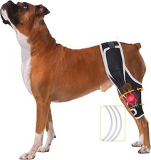 XUVIRA Dog Knee Brace for Torn Acl Hind Leg Cruciate Ligament Injuries, Black,XL