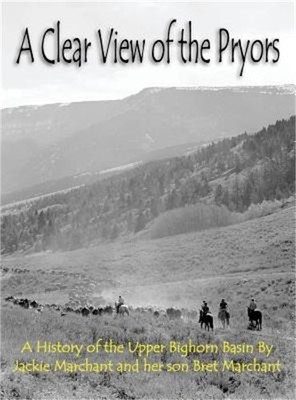 A Clear View of the Pryors (Hardback or Cased Book)