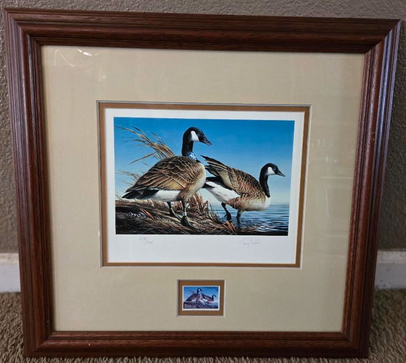 1981 Minnesota State Duck Stamp Print Featuring Canada Geese, by Terry Redline