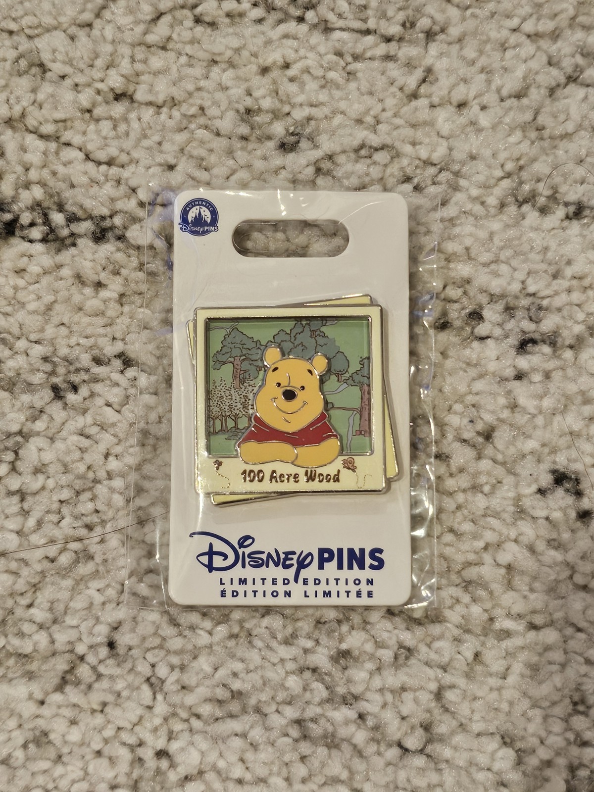 Winnie the Pooh 100 Acre Wood Disney Destinations Pin LE 2000