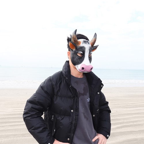 Pig Mask Cow Face Cover Half Head Latex Halloween Cosplay Performance Spoof - Picture 3 of 5