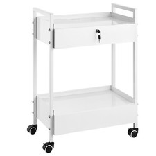 VEVOR Carro de Laboratorio Médico de Acero Inoxidable 2 Niveles Carga de 100 kg