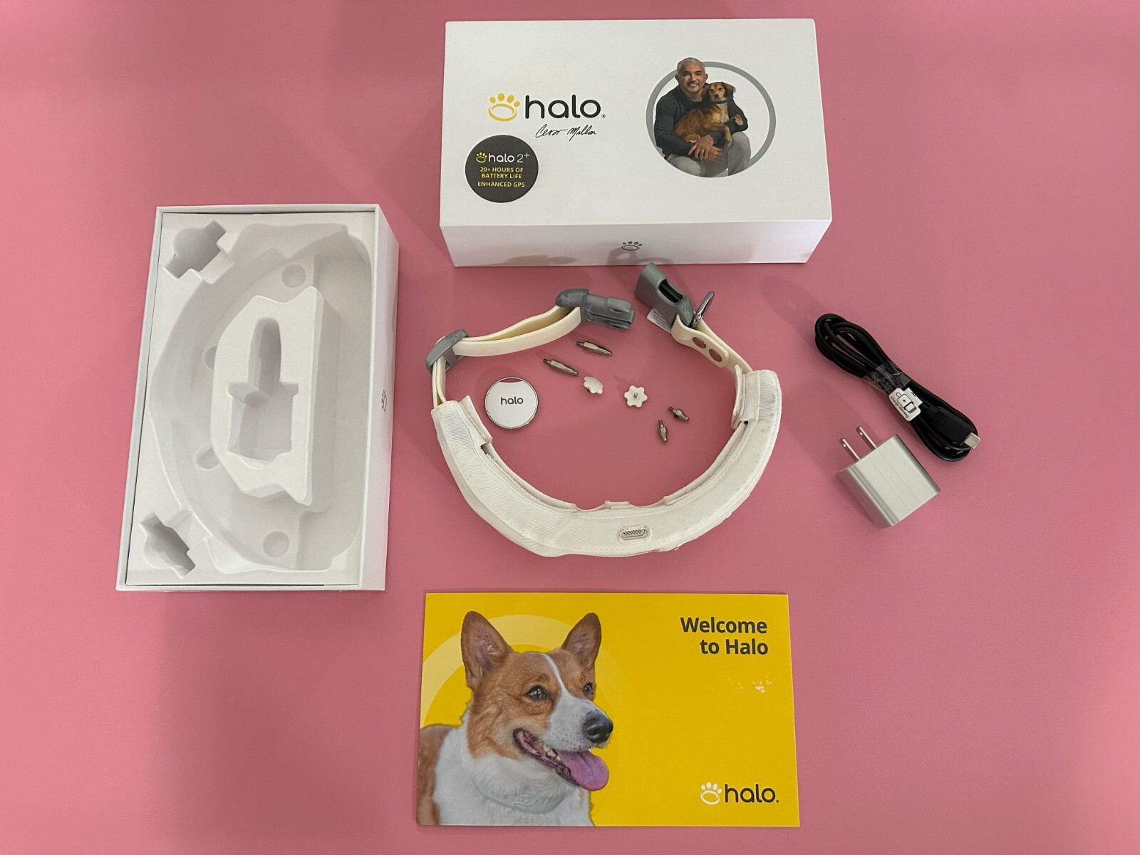 Halo 2+ Wireless Dog Fence with GPS Collar Solution by Cesar Millan