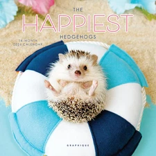 2026 Happiest Hedgehogs Mini Wall Calendar | 7” X 7” | Thick Paper | Home & Offi