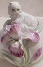 Foto 9 di 20