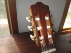 Cordoba C5 Cedar Top Mahogany Back/Sides Iberia Classical Guitar. Local Pickup — photo 5