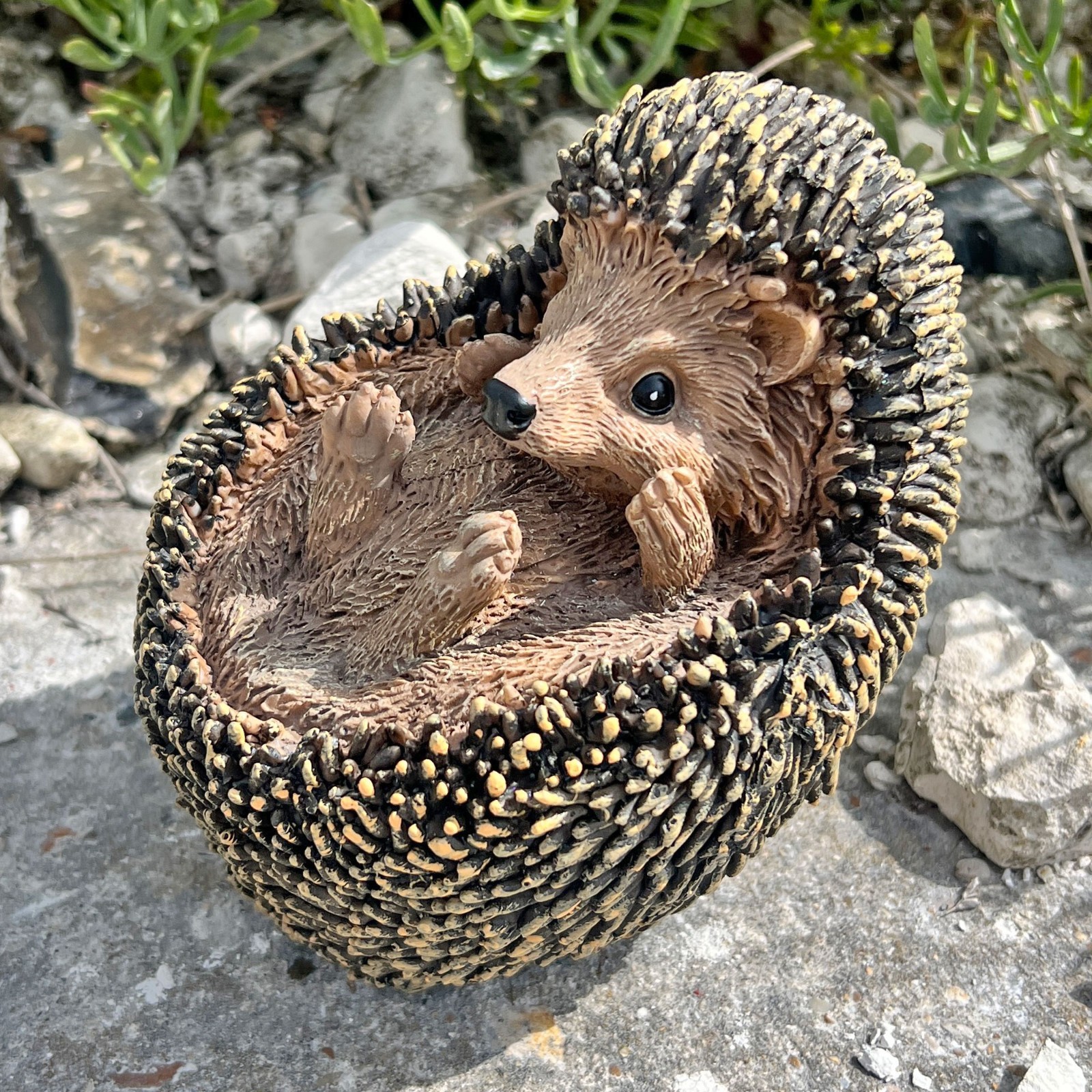 Rackhams Hedgehog Garden Animal Ornament - Image 2