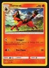 Torracat 16/73 Shining Legends 2017 - Pokémon TCG