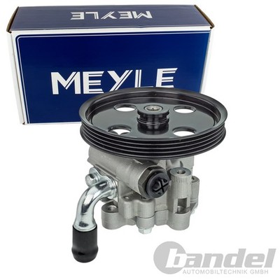 MEYLE SERVOPUMPE HYDRAULIKPUMPE passend für CHRYSLER VOYAGER | 44-14 631 0000