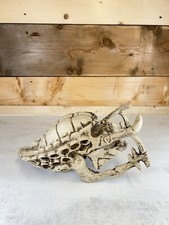 Skull Sculpture Alien vs Predator Resin Movie Collection Hard to Find