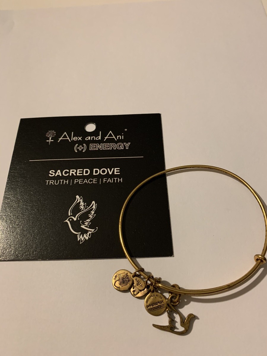 ALEX+ANI