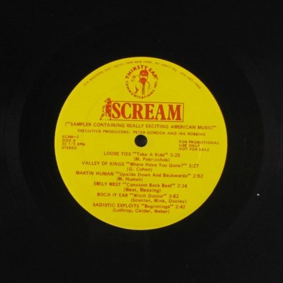 VARIOUS: scream - sampler containing really exciting american music THIRSTY EAR