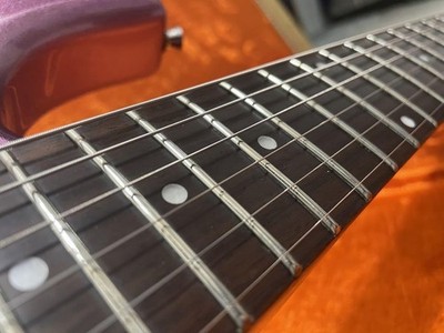 Electric Guitar Elioth Revolution S Series Modified with Soft Case