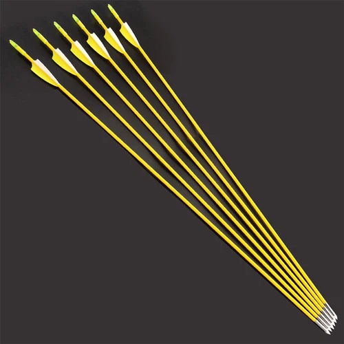 6/12pcs 31" Archery Fiberglass Arrows Target Practice Recurve Bow Hunting - Bild 23 von 49