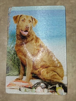 Glass Cutting Board  11x15.5