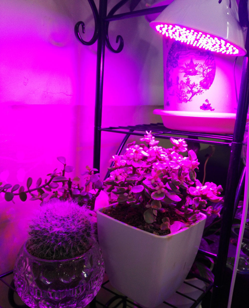 Picture 4 of 19
