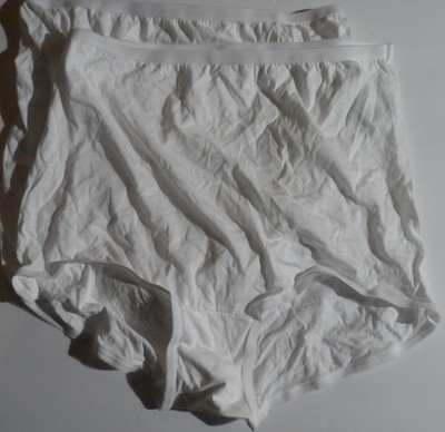 Lollipop Vanity Fair Women S 2 Pack Briefs Multi8 10 3xl New W O Tags Defect Ebay