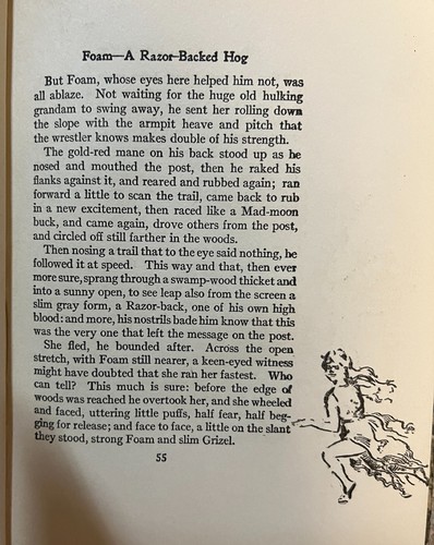 THE LIBRARY OF PIONEERING AND WOODCRAFT Seton HC Vols 1 2 3 4 5 Birchbark ed. - Picture 7 of 13
