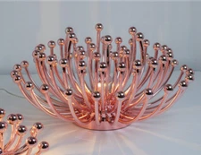 Valenti, Pink Pistillo, Studio Tetrarch, 1970