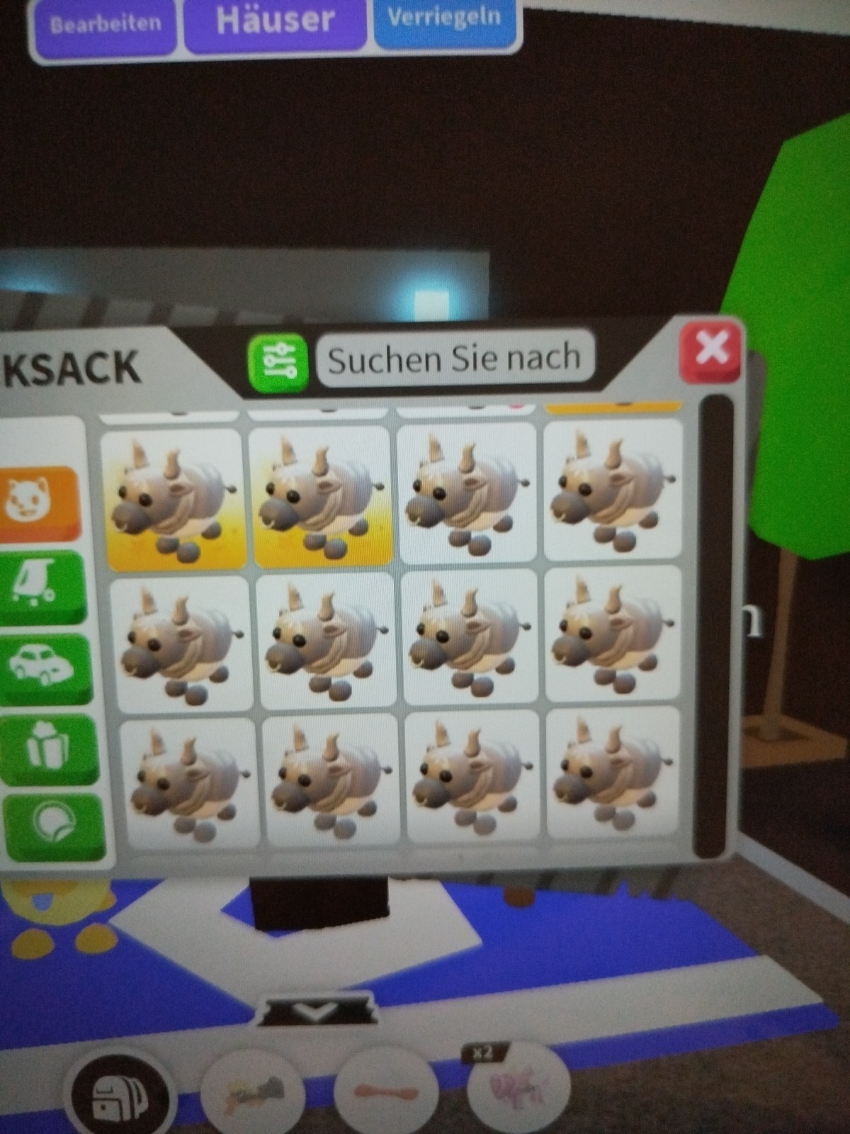 Bild 11 von 24