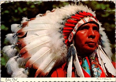 Native American Indian Chief Colorful Headdress Continental Postcard B183