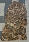 Bild 4 von 12