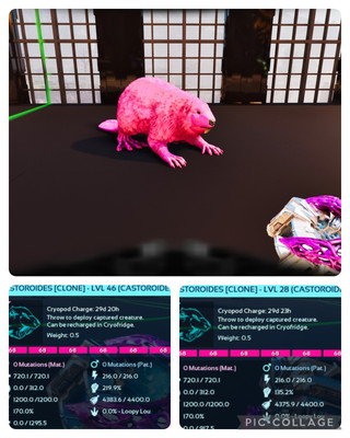 ark survival ascended pve SOLID ID68 CASTEROID CLONES