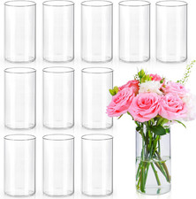 6 Inch Glass Cylinder Vases for Centerpieces | 12Pcs Clear Small Flower Vase for