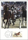 Victory Tilly Stig H Johansson Trotting Sports Elitloppet Sweden Maxi FDC 2011