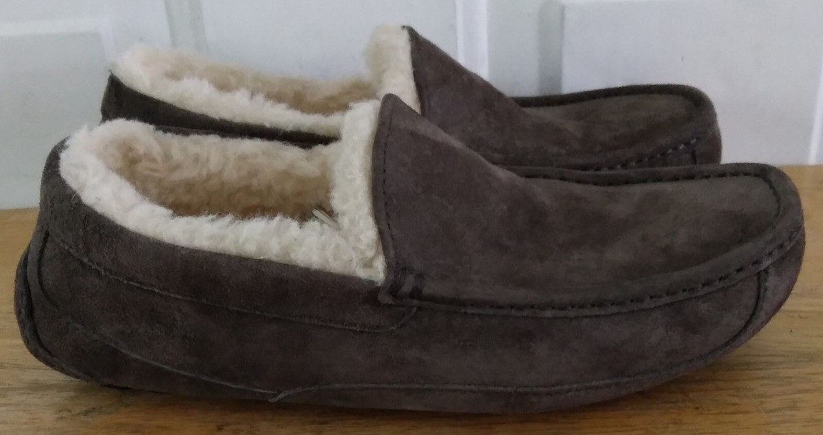 UGG Australia Men display picture 2