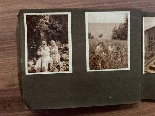 Daily Family Life in Denmark Early 1900s Unique Vintage Photo Album +75 pcs - Picture 10 of 18